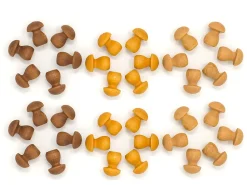 Grapat Mandala Champginons (bruintinten), 36 Stuks