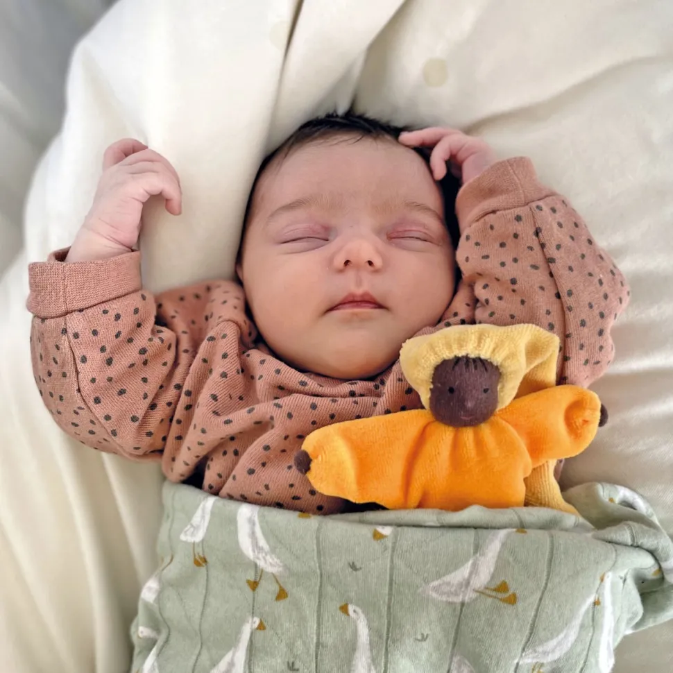 Grimm's Lavendelpopje Zon