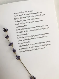 Nieuw Leven - Lois Kruidenier