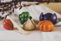 Plan Toys Groenten Set