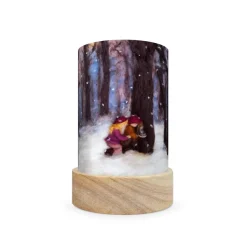 Toverlux Shades - Het Wolfeetje, Seasons Set 5 Stuks