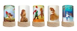 Toverlux Shades - Het Wolfeetje, Celebrations Set 5 Stuks
