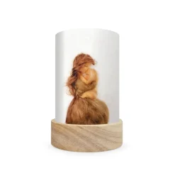 Toverlux Shades - Het Wolfeetje, Celebrations Set 5 Stuks