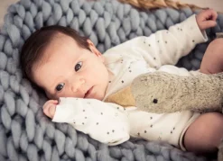 Warmteknuffel Gans Grijs, Senger Naturwelt