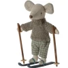 Winter Muis, Grote Broer Met Skiset