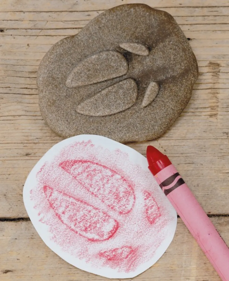 Yellow Door - Farmyard Pootafdruk Speelstenen