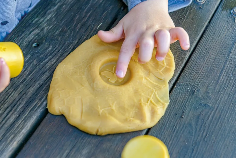 Yellow Door - Garden Bugs Kleirollers