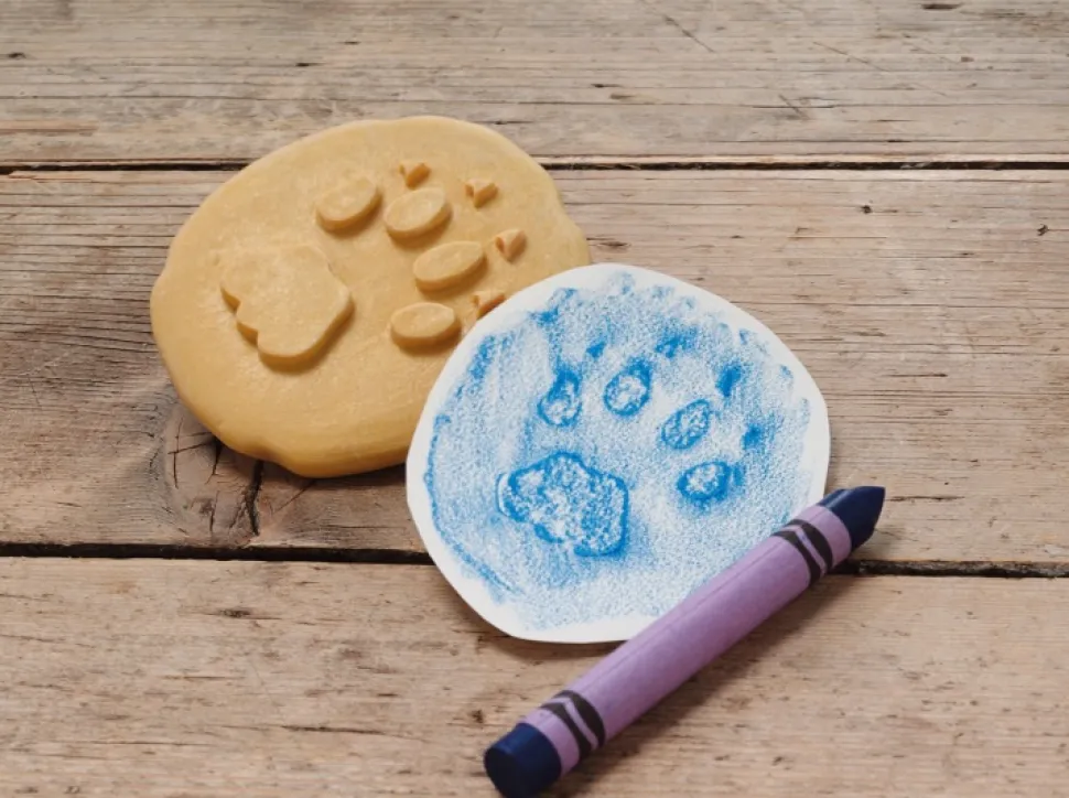 Yellow Door - Safari Pootafdruk Speelstenen